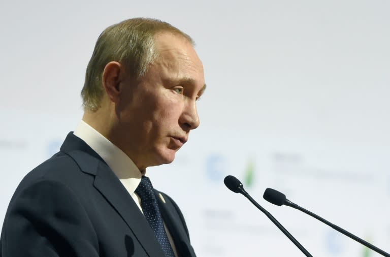 Russian President Vladimir Putin, pictured on November 30, 2015, said, "We have every reason to think that the decision to shoot down our plane was dictated by the desire to protect the oil supply lines to Turkish territory"