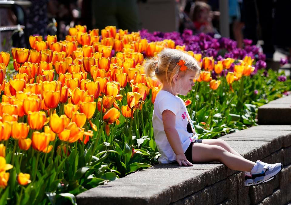 The last chance to catch this year's Zoo Blooms at the Cincinnati Zoo and Botanical Garden will be Tuesday, April 30.