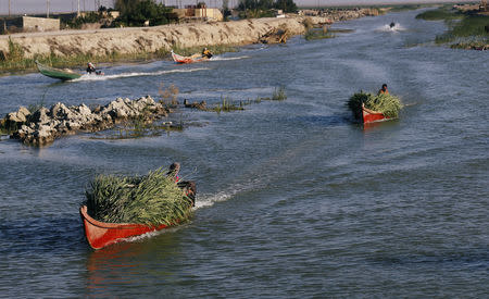 Iraqi Marsh Arab people ride their boats as they collect reeds at the Chebayesh marsh in Dhi Qar province, Iraq April 14, 2019. REUTERS/Thaier al-Sudani