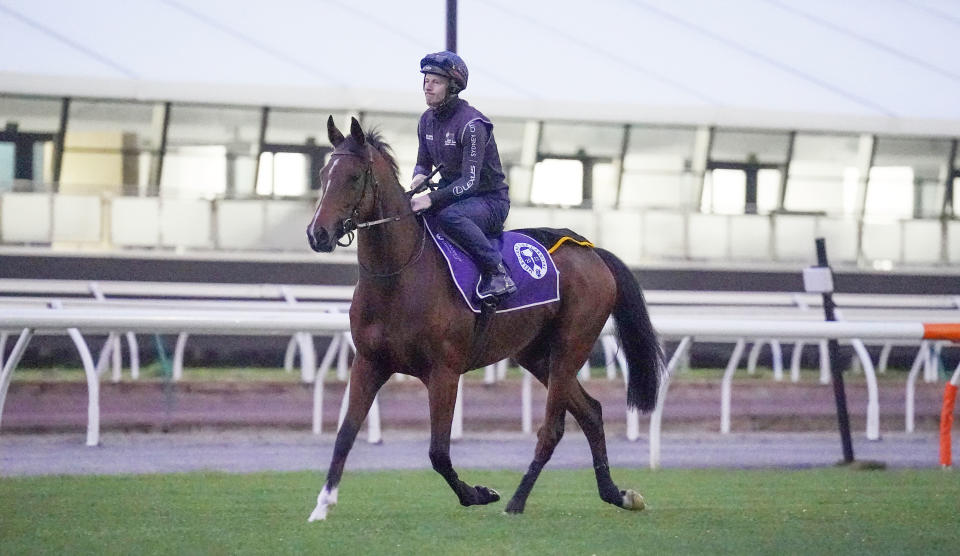 James McDonald, pictured here riding Loft during trackwork at Flemington Racecourse.