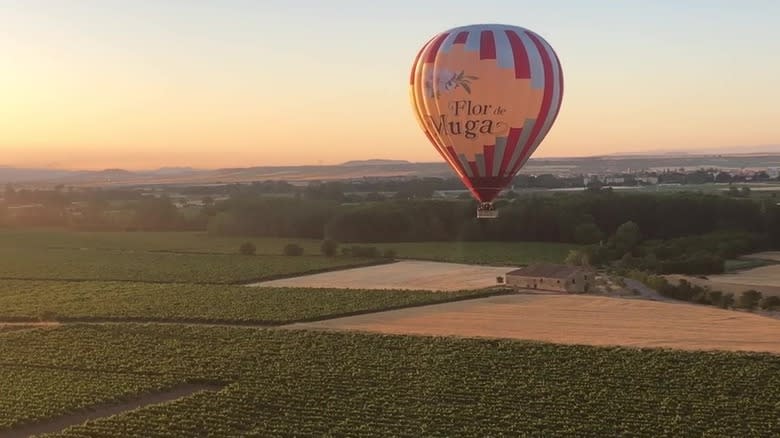 Bodegas Muga hot air balloon 