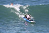 <p>A dog rides a wave during the Surf City Surf Dog competition in Huntington Beach, California, U.S., September 25, 2016. REUTERS/Lucy Nicholson</p>