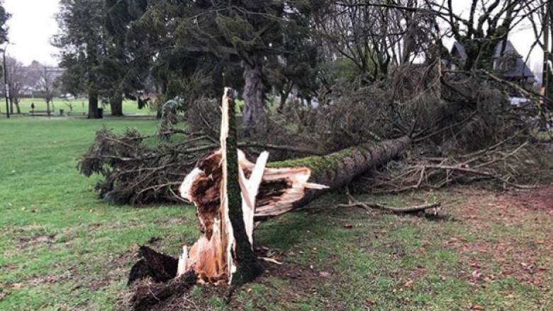 Wind wreaks havoc, leaves thousands without power in B.C.