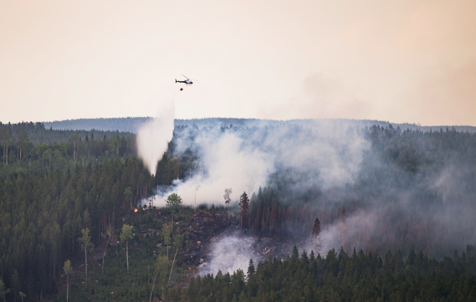 <em>A helicopter drops water over a forest fire in Sweden (Rex)</em>