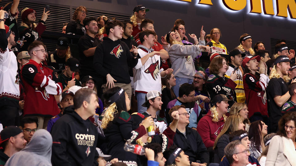 The Coyotes have asked their fans where they want to see a new arena built. (Photo by Christian Petersen/Getty Images)