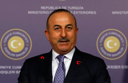 Turkish Foreign Minister Mevlut Cavusoglu speaks during a news conference in Istanbul, Turkey January 25, 2018. REUTERS/Murad Sezer