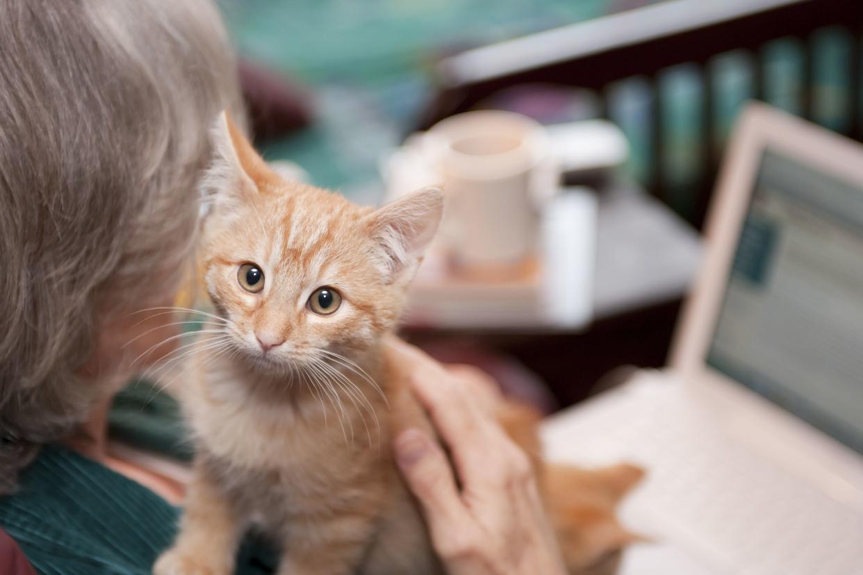 senior woman with orange kitten