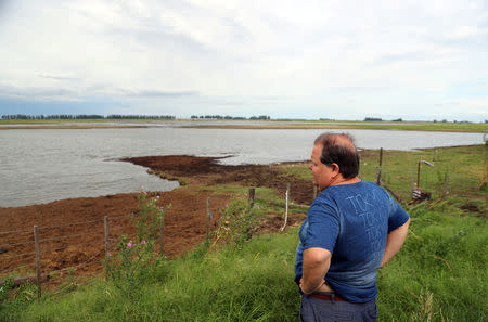 Farmer Mario Giustocio stands in a field that had been used to plant soy and was affected by recent floods near Norberto de la Riestra, Argentina, January 8, 2019. Picture taken January 8, 2019. REUTERS/Marcos Brindicci