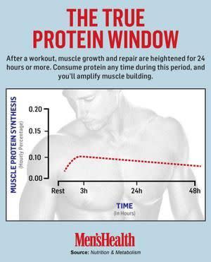The Role of Protein Timing in Muscle Growth and Recovery
