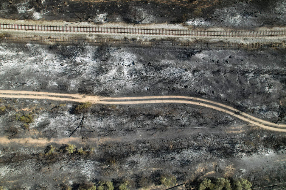 Die Waldbrände hinterlassen verheerende Spuren in Griechenland. (Bild: REUTERS/Alexandros Avramidis)