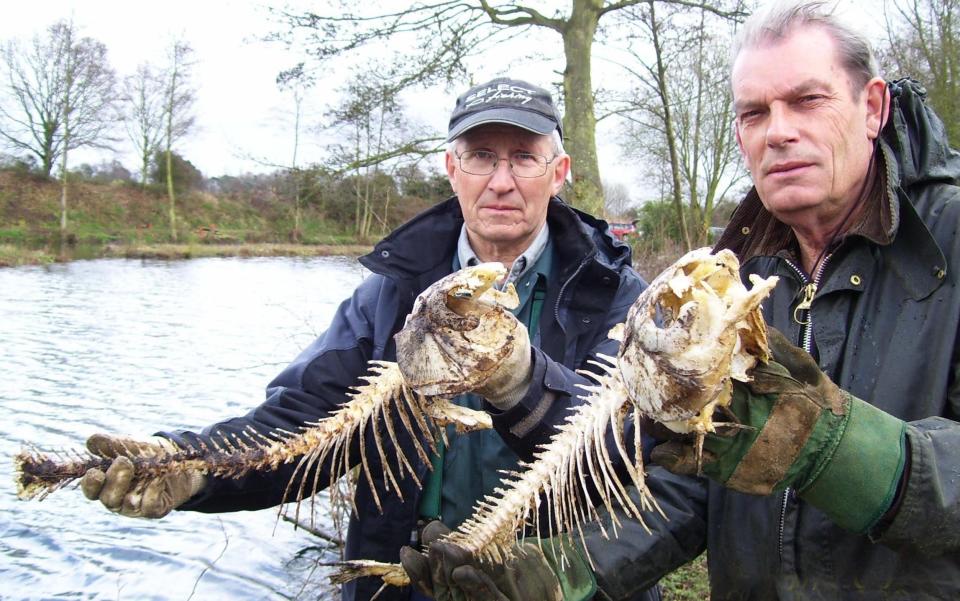 Angry anglers Eric Peak & Chris Smith from the Bungay Cherry tree club in Suffolk, with the remains of prize carp - BNPS