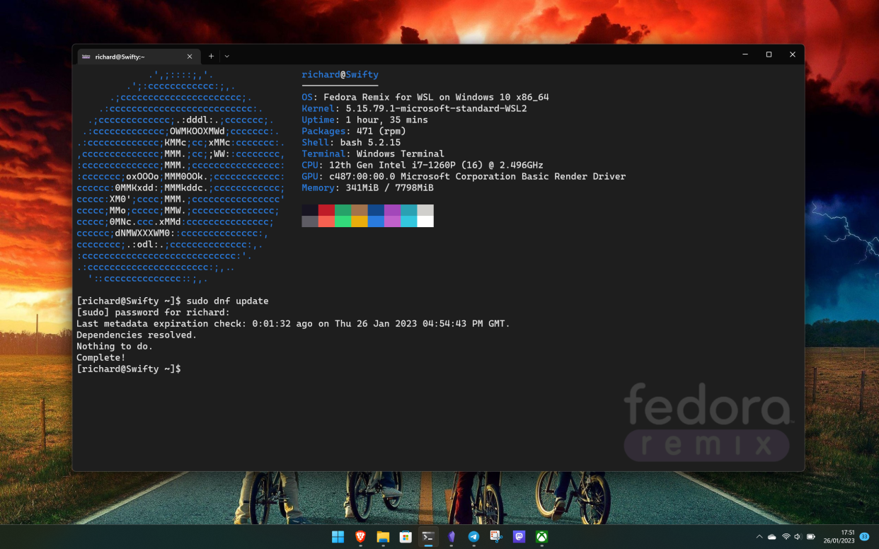  Fedora Remix for WSL on Windows 11. 