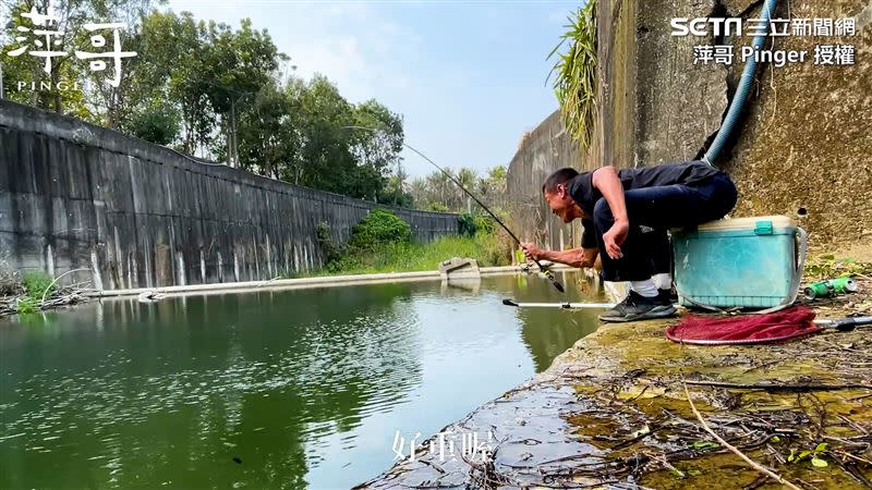 萍哥釣起滿滿一桶的琵琶鼠魚。（圖／萍哥 Pinger 授權）