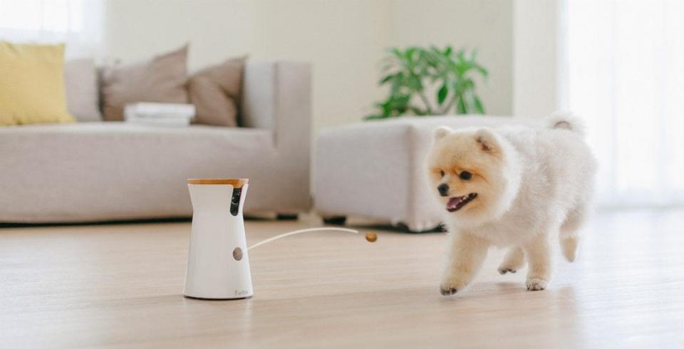 Best gifts for wives 2020: Furbo Dog Camera