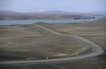 General view of a road leading to Vatnajokull glacier August 20, 2014. REUTERS/Sigtryggur Johannsson