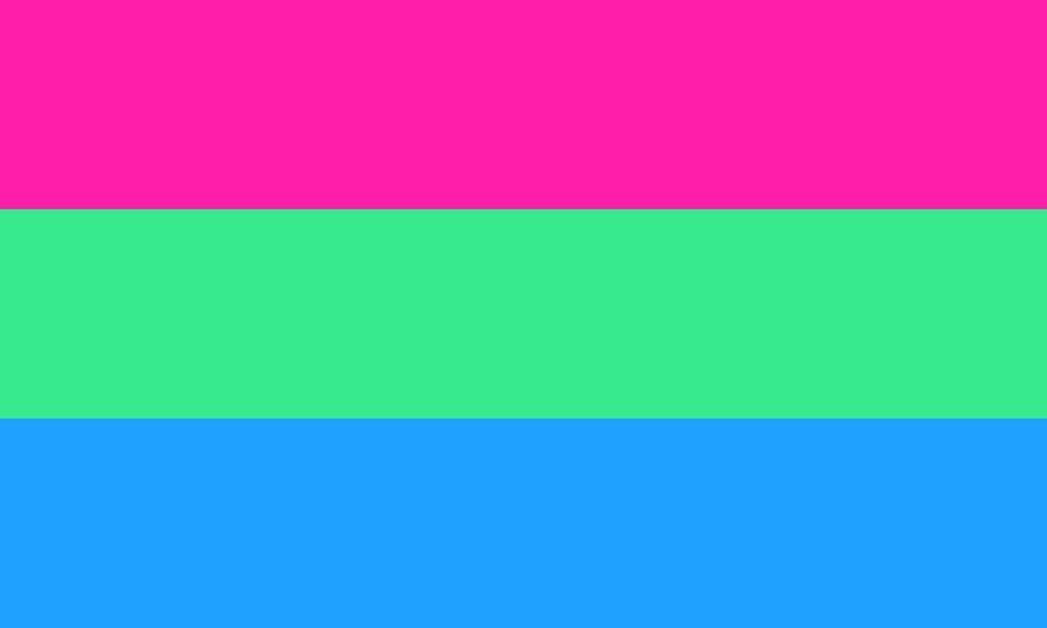 pride flag meanings polysexual pride flag
