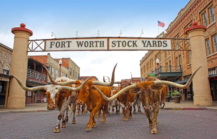 Fort Worth Stockyards