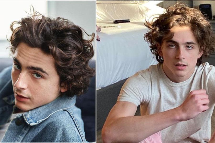 ¿Cuál es el fortuna de Timothée Chalamet?