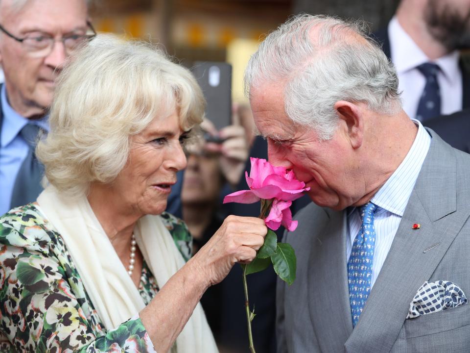 king charles and camilla