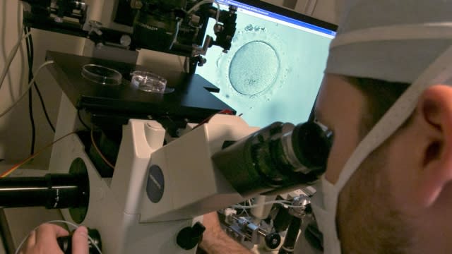 An embryologist uses a microscope to view an embryo.