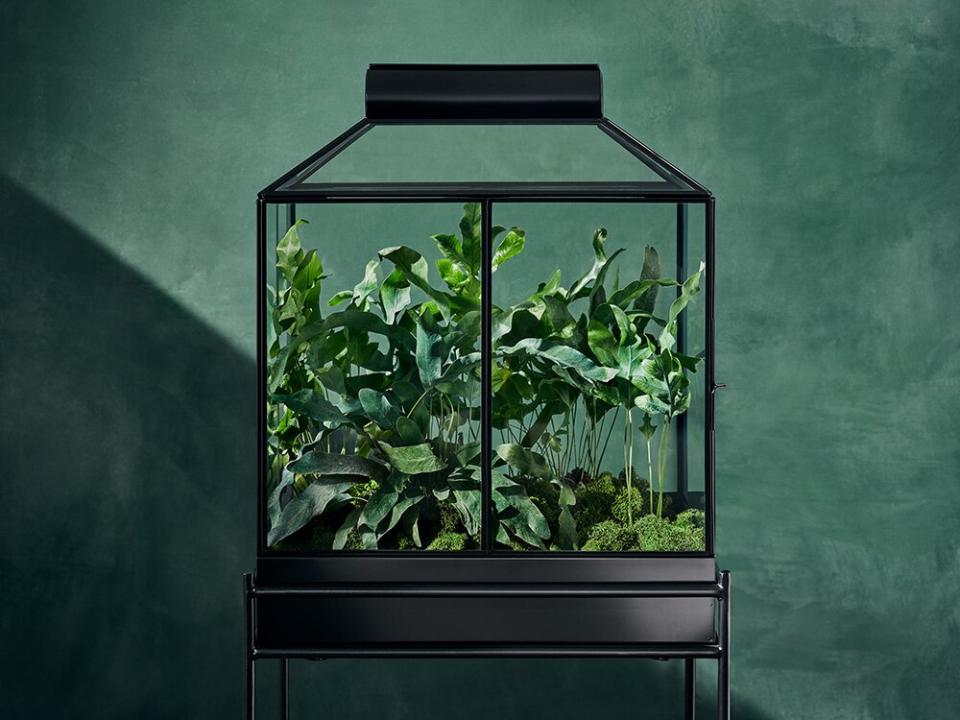 hilton carter x target terrarium