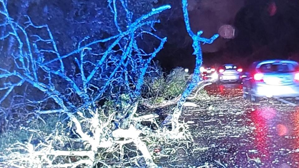 Fallen tree on road with leaves and twigs across the carriageway and car in the distance