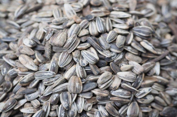 <p>A small handful of sunflower seeds provide half of the daily recommended intake of vitamin E. The seeds also contain magnesium and selenium, two minerals crucial to reducing swelling and inflammation in the body. <a href="http://www.thedailymeal.com/best-recipes/sunflower-seeds" rel="nofollow noopener" target="_blank" data-ylk="slk:Here are some recipes that can help incorporate sunflower seeds into a meal.;elm:context_link;itc:0;sec:content-canvas" class="link "><b>Here are some recipes that can help incorporate sunflower seeds into a meal</b>. </a> If sunflower seeds aren't your thing; <a href="http://www.thedailymeal.com/healthy-eating/4-sweet-potato-recipes-will-help-you-lose-weight" rel="nofollow noopener" target="_blank" data-ylk="slk:sweet potatoes;elm:context_link;itc:0;sec:content-canvas" class="link "><b>sweet potatoes</b></a>, spinach, and <a href="http://www.thedailymeal.com/best-recipes/almonds" rel="nofollow noopener" target="_blank" data-ylk="slk:almonds;elm:context_link;itc:0;sec:content-canvas" class="link "><b>almonds</b></a> are also good sources of vitamin E.</p>