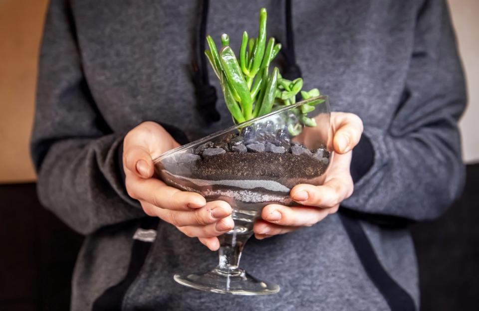 A person holding a finished open-faced terrarium.