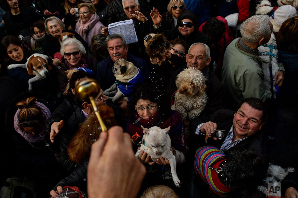 Spain Animals Blessing