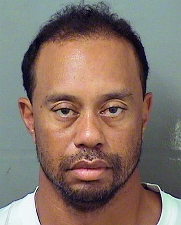 The Tiger Woods mug shot.