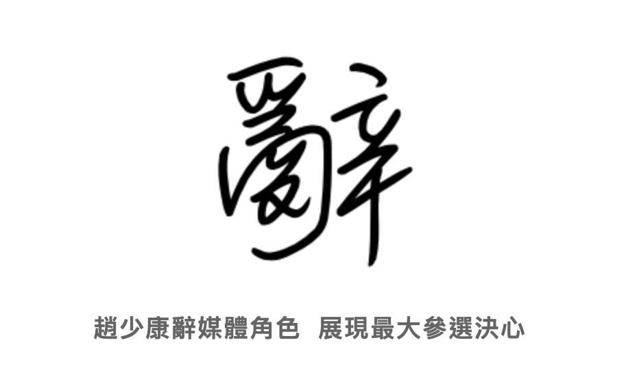 陳念初》趙少康不管參選什麼 都該辭媒體人角色