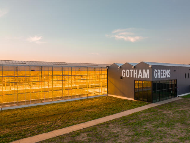 Gotham Greens: A Farm Grows in Brooklyn - Bloomberg