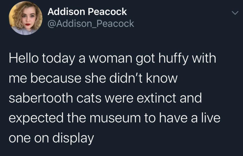 tweet reading hello today a woman got huffy with me because she didn't know sabertooth cats were extinct