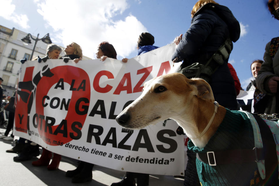 Rally against the hunting with dogs in Spain