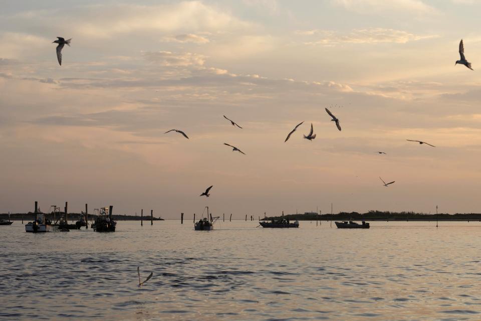 FILE - Birds fly near fishing boats float off Pila, Italy, on the Adriatic Sea which the Po River feeds into, July 29, 2022. The European Union has been at the forefront of the fight against climate change and the protection of nature for years. But it now finds itself under pressure from within to pause new environmental efforts amid fears they will hurt the economy. (AP Photo/Luca Bruno, File)