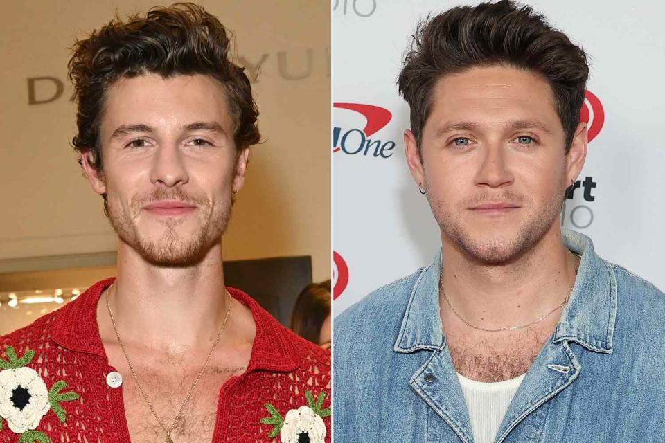 <p>Jon Kopaloff/Getty; Leon Bennett/WireImage</p> Shawn Mendes; Niall Horan