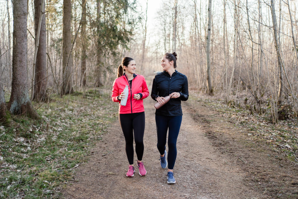 friends walking in woods