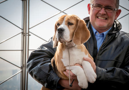 FILE PHOTO: Miss P, a 15-inch Beagle who won "Best in Show," at the139th Westminster Kennel Club Dog Show and her handler William Alexander pose together on the observation deck of the Empire State Building in New York, U.S., February 18, 2015. REUTERS/Brendan McDermid/File Photo