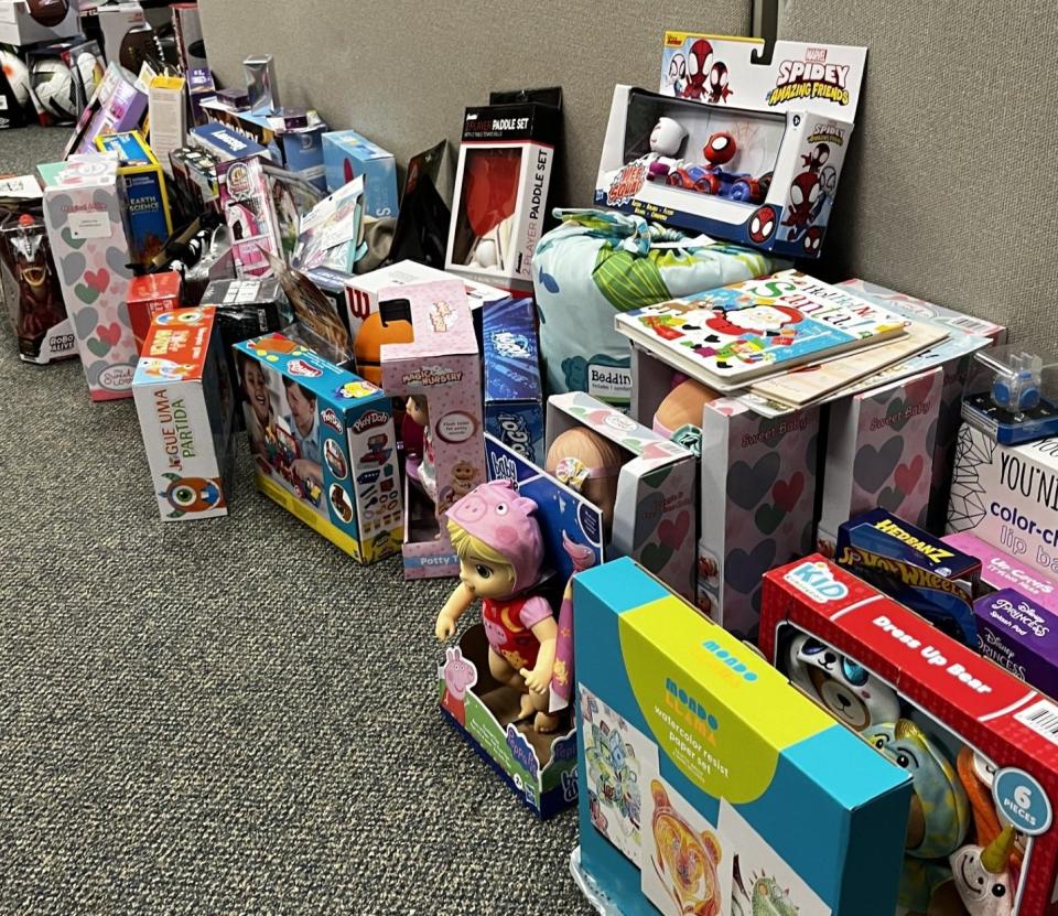 These are a sampling of the toys donated for Wayne County Office of Behavioral and Developmental Program and Early Intervention, from the annual Fill The Sleigh Motorcycle Run at Baer Sport Center, Honesdale.