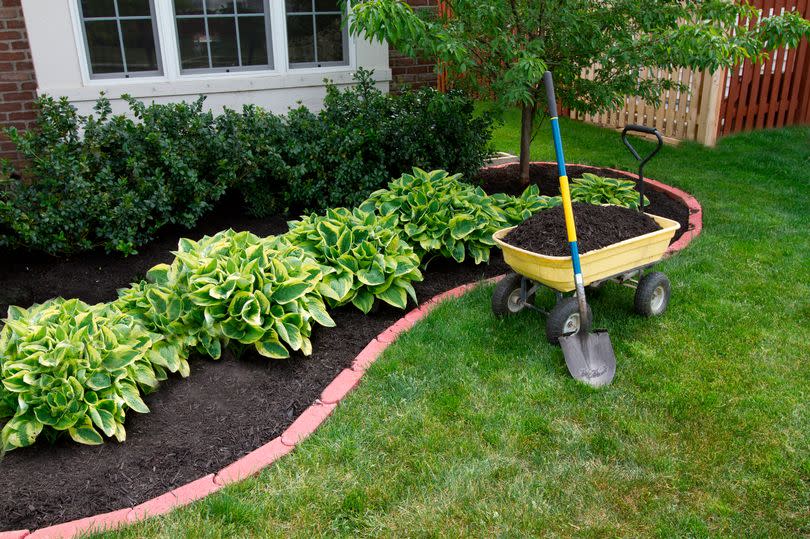 Mulching is a great use of spare grass cuttings or cardboard