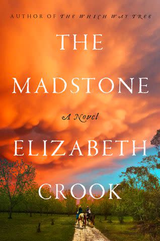 'The Madstone' by Elizabeth Crook