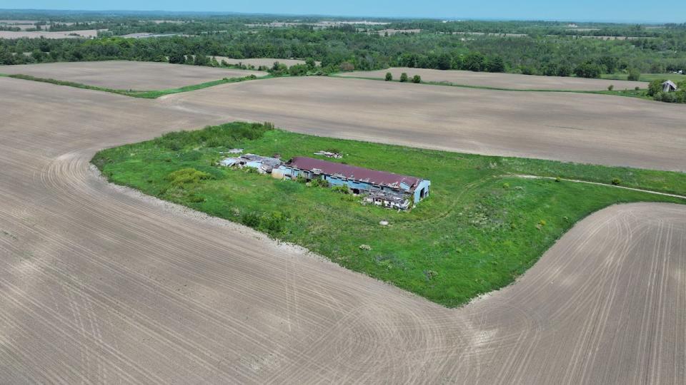 Land on the Duffins Rouge Greenbelt. One of many areas identified by provincial government as land targeted for development.