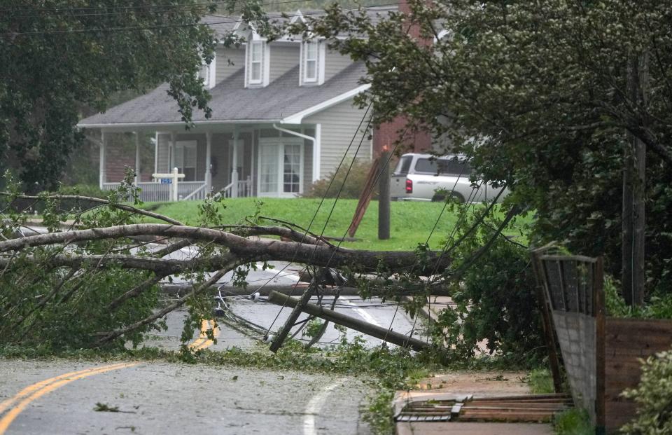 A tree on the ground is pictured after taking down the power lines and shutting off access to this road in Liverpool, Nova Scotia (REUTERS)