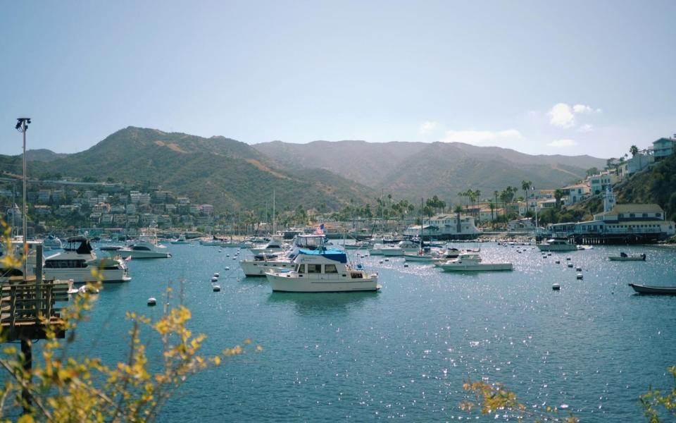 Catalina Island, California