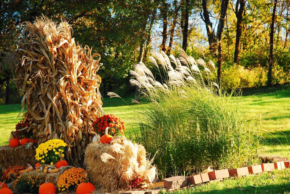 These Fall Decorations Are Made with Dried Corn and Corn Stalks