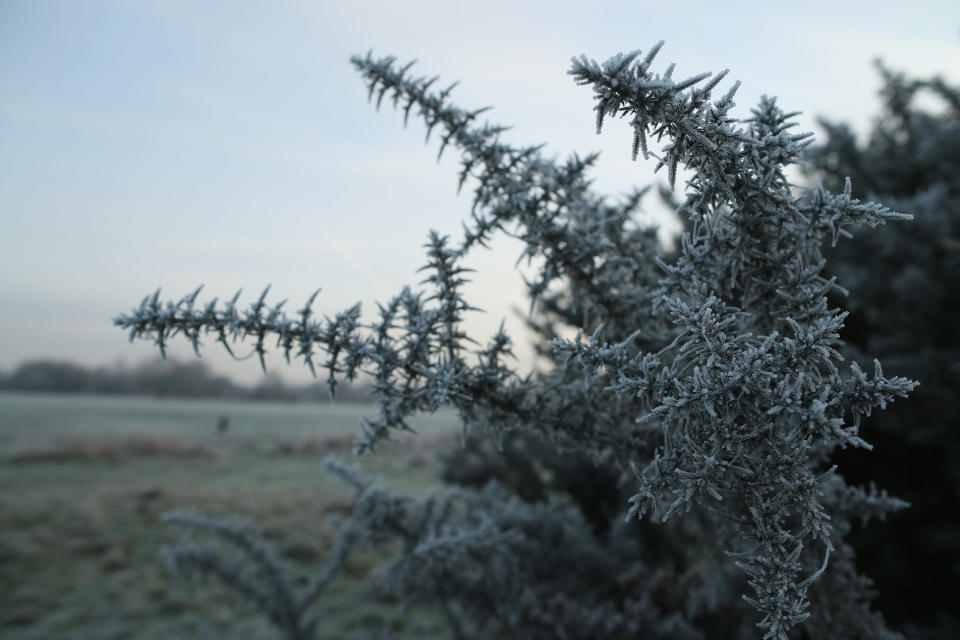 Freezing Fog And Frost Hit The UK