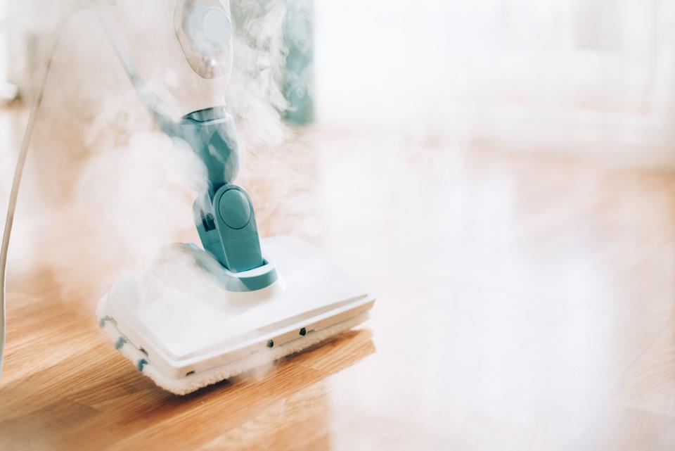 10 of the Best Steam Cleaners You Can Buy Online Right Now