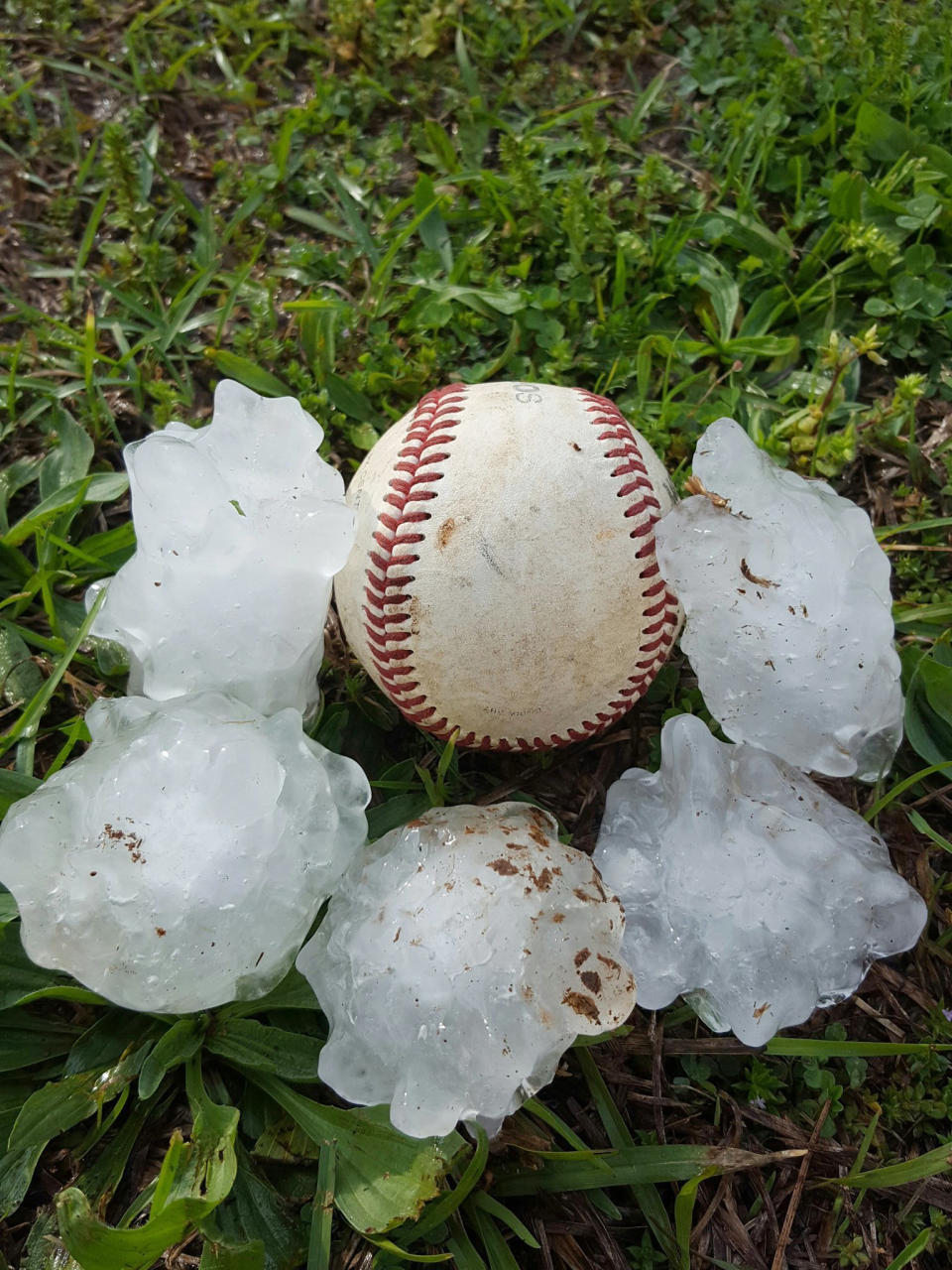 This photo provided by Mitch Sparks shows pieces of hail placed next to a baseball after they fell during a storm in Munford, Ala., Wednesday, April 5, 2017. A powerful tornado toppled trees and downed power lines in rural Georgia and similar scenes played out in spots around Alabama and South Carolina amid drenching rain, high winds and scattered hail - some as big as baseballs. (Mitch Sparks via AP)