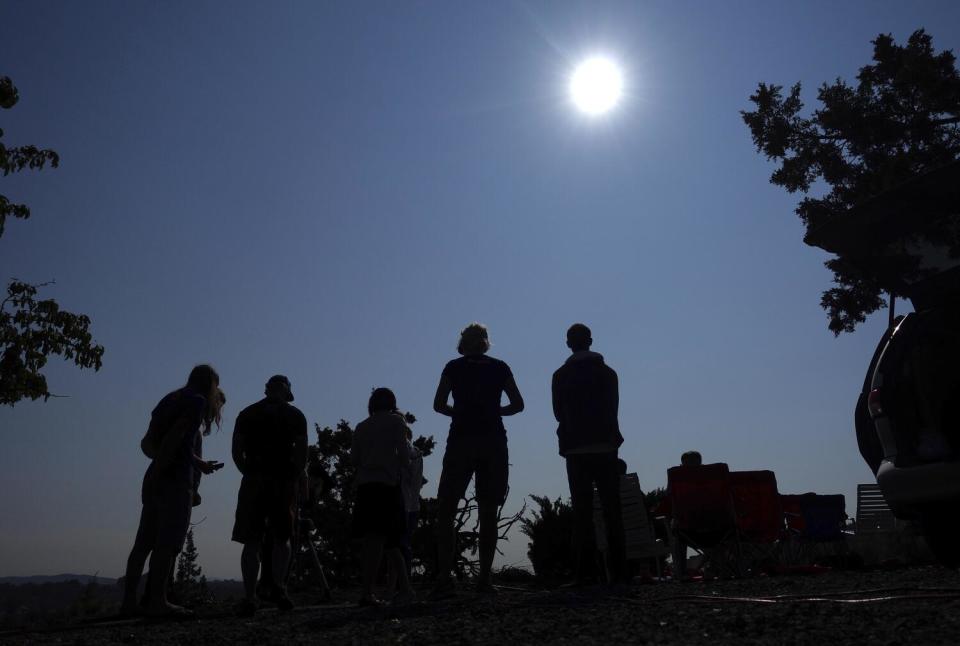 Silhouette of people outside under the sun.