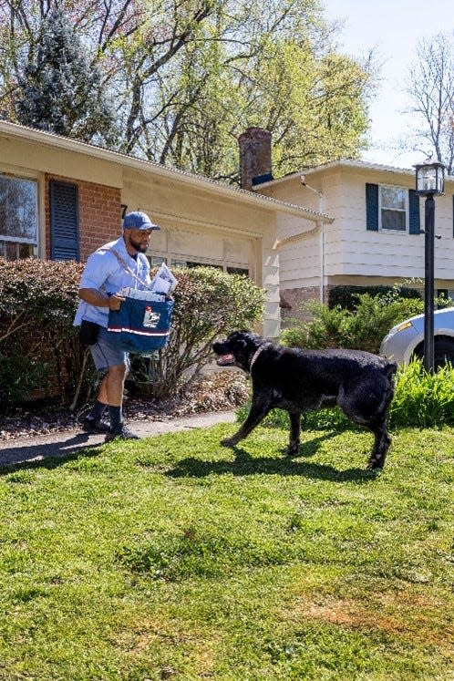 Gaithersburg, Maryland, letter carrier Hugues Pointe Jour takes a protective stance against an approaching dog.